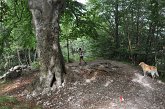 135 Periplo e vetta Monte Alben la Croce